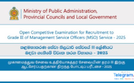 Management Service Officer (MSO) Exam 2024/2025 – Online Application, Gazette, and Eligibility