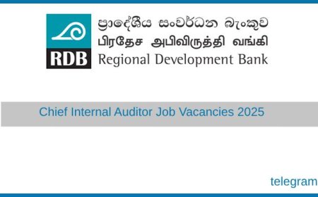 Chief Internal Auditor – Regional Development Bank (RDB) Vacancy 2025