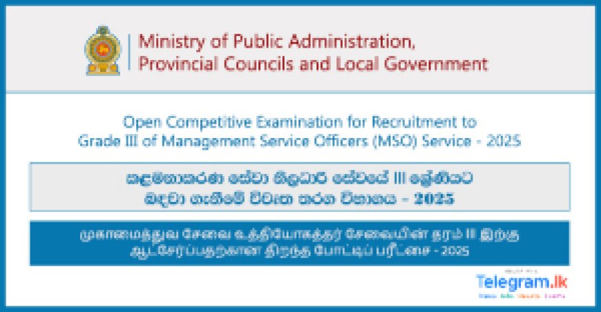 Management Service Officer (MSO) Exam 2024/2025 – Online Application, Gazette, and Eligibility