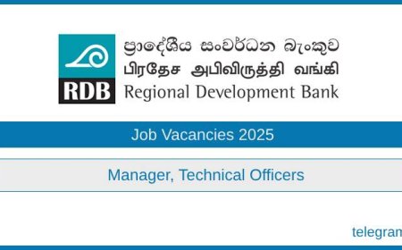 RDB Bank Technical Officer (MEP & Civil) Vacancies 2025 – Apply Now