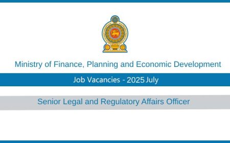Senior Legal & Regulatory Affairs Officer Vacancy 2025 – Ministry of Finance