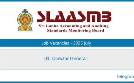 Director General – Sri Lanka Accounting & Auditing Board Vacancy 2025