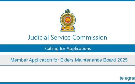 Chairman and Members Vacancy – Maintenance Board of Elders 2025 | Judicial Service Commission