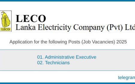 Lanka Electricity Company (LECO) Jobs 2025 – Apply for Administrative and Technician Roles