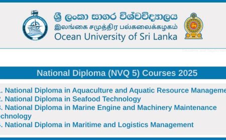 Ocean University NVQ Level 5 Courses 2025 – Panadura Campus | Apply Now
