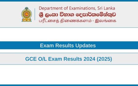 GCE O/L Results 2024 (2025) – Latest News from Department of Examinations