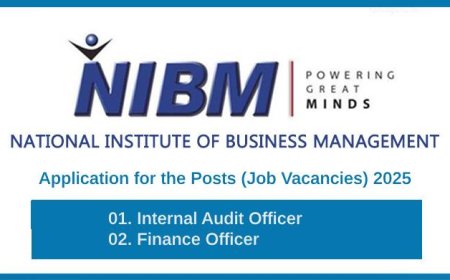 NIBM – Internal Audit and Finance Jobs 2025 (Apply Before July 12)
