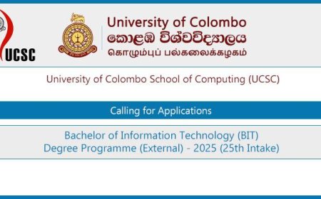 Bachelor of Information Technology (BIT) 2025 Intake – University of Colombo School of Computing (UCSC) Applications Open