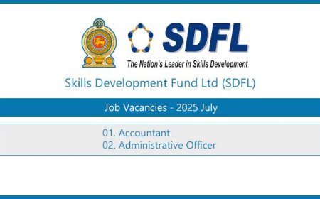 Skills Development Fund Ltd Jobs – Government Vacancies 2025