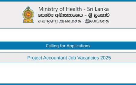 Health Ministry HSEP Accountant Job Vacancies 2025 | Apply Online Before July 14