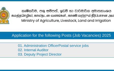 Agriculture Ministry SARP Project Vacancies 2025 – Apply Now for Admin Officer, Auditor, Project Director