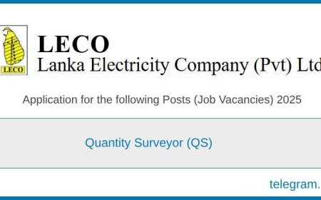 Lanka Electricity Company (LECO) Vacancy 2025 – Quantity Surveyor Jobs