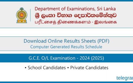 G.C.E. O/L Exam 2024 (2025) Results Released – Download Official Results Sheet (PDF)