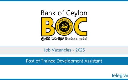 BOC Bank Trainee Development Assistant Vacancies 2025 – Apply Now