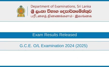 O/L Exam Results 2024 (2025) Out Now – Direct Online Links