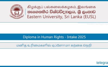 Eastern University Diploma in Human Rights 2025 – Enroll Today!