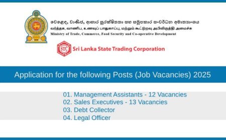 STC Job Openings 2025 – Apply Now for Management Assistants, Sales Executives, Legal Officers and More
