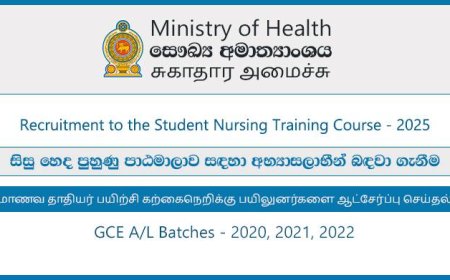 Student Nursing Training Course 2025 – Ministry of Health Application
