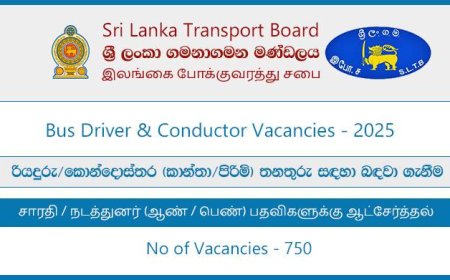 SLTB/CTB Bus Driver and Conductor Vacancies 2025 – Apply Now!