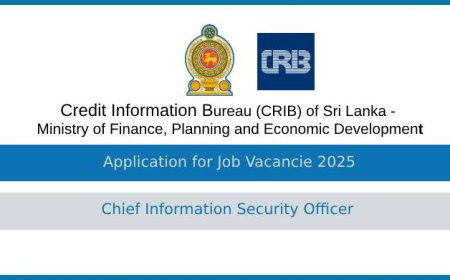 CRIB 2025 Job Vacancy: Chief Information Security Officer – Apply Now!