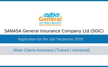 SANASA Insurance Motor Claims Assessor Jobs 2025 – Apply Now!