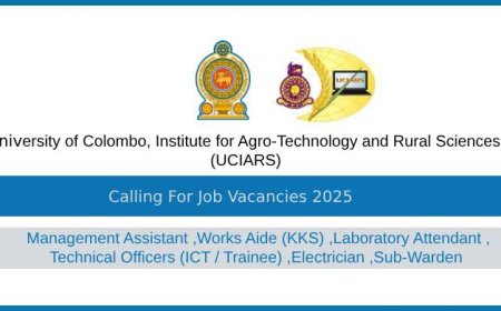 UCIARS Job Vacancies 2025 | Management Assistant, Technical Officers and More | University of Colombo