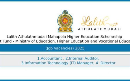 Mahapola Trust Fund Job Vacancies 2025 – Accountant, Auditor, IT Manager and Director Positions Open