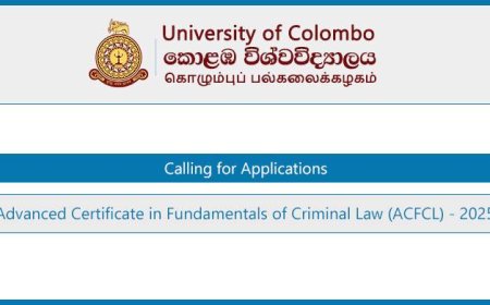 University of Colombo ACFCL Course 2025 – Apply Now for Advanced Certificate in Fundamentals of Criminal Law