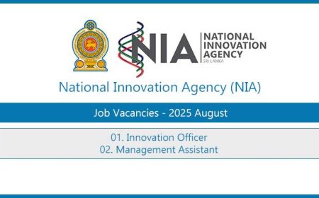National Innovation Agency (NIA) Vacancies 2025 – Innovation Officer and Management Assistant