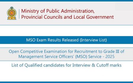 Management Service Officers (MSO) Exam Results 2025 (Interview List)