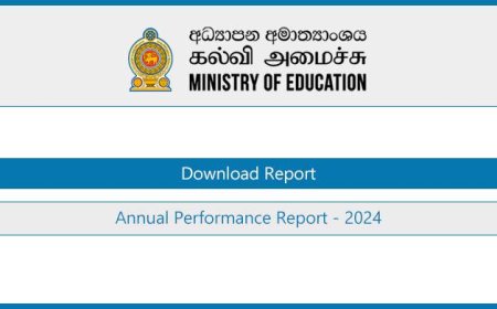 Ministry of Education Annual Performance Report 2024