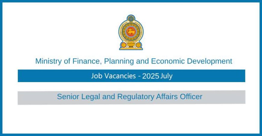 Senior Legal & Regulatory Affairs Officer Vacancy 2025 – Ministry of Finance