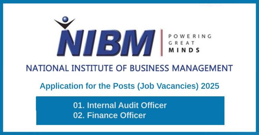 NIBM – Internal Audit and Finance Jobs 2025 (Apply Before July 12)