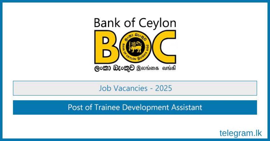 BOC Bank Trainee Development Assistant Vacancies 2025 – Apply Now