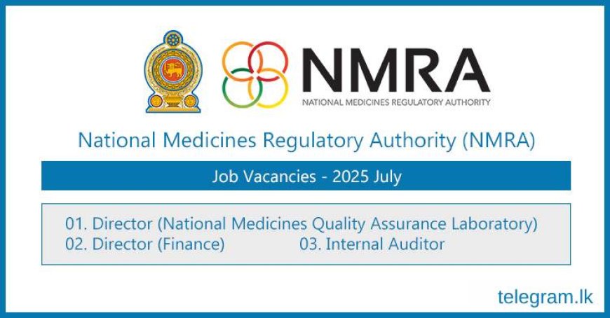 NMRA Job Vacancies 2025 – Director, Auditor and More | Apply by July 26
