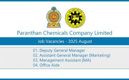 Paranthan Chemicals Company Job Vacancies 2025 – August