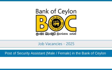 Bank of Ceylon Security Assistant Vacancies 2025