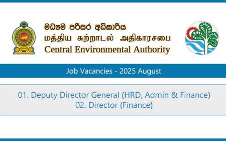 Central Environmental Authority Director Vacancies 2025 – Apply Now | August Intake