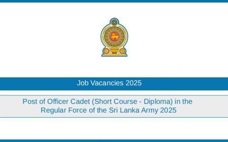 Sri Lanka Army Officer Cadet Job Vacancies 2025 (Regular Force / Diploma Short Course)