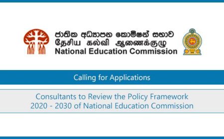 Consultants to Review the National Education Policy Framework 2020–2030 – NEC