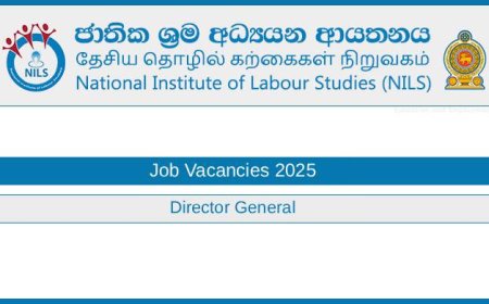National Institute of Labour Studies (NILS) Jobs 2025 – Director General