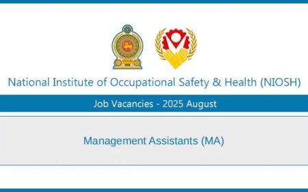 National Institute of Occupational Safety and Health Jobs 2025 – Management Assistants (MA)