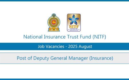 National Insurance Trust Fund (NITF) – Deputy General Manager (Insurance) Vacancy 2025