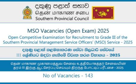 Southern Province Management Service Officers (MSO) Vacancies (Open Exam) 2025