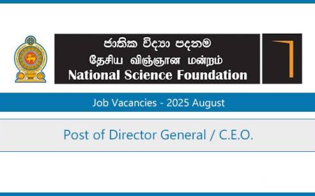 National Science Foundation Vacancy 2025 – Post of Director General