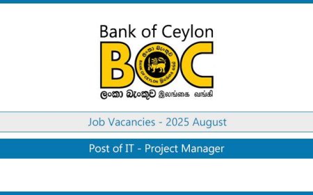 BOC Bank Vacancies 2025 – Post of IT Project Manager