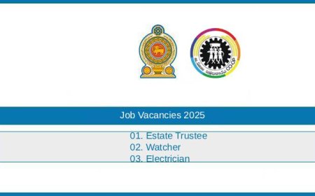 Dunagaha Coconut Producers Cooperative Society Jobs 2025