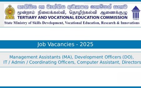 TVEC Job Vacancies 2025 – Management Assistants, Development Officers, IT and Admin Officers, Directors