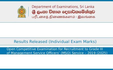MSO Exam Results 2025 – Individual Marks and Interview List Released