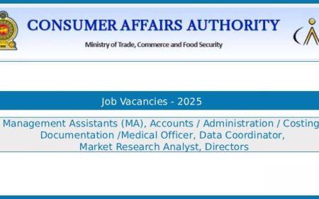 Consumer Affairs Authority (CAA) Jobs 2025 – Management Assistants, Accounts, Administration, Costing, Documentation, Medical Officer, Data Coordinator, Market Research, Directors